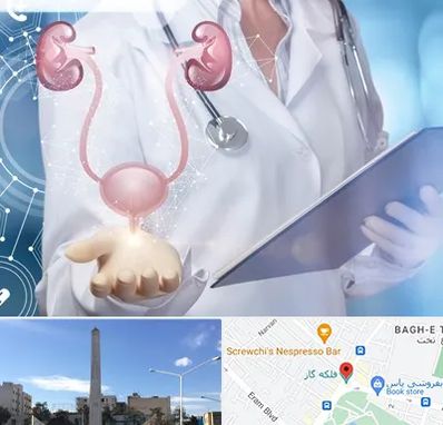 متخصص اورولوژی خانم در فلکه گاز شیراز 