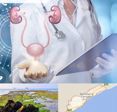 متخصص اورولوژی خانم در بندرلنگه
