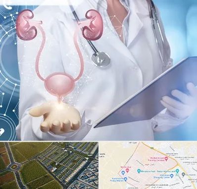 متخصص اورولوژی خانم در الهیه مشهد 