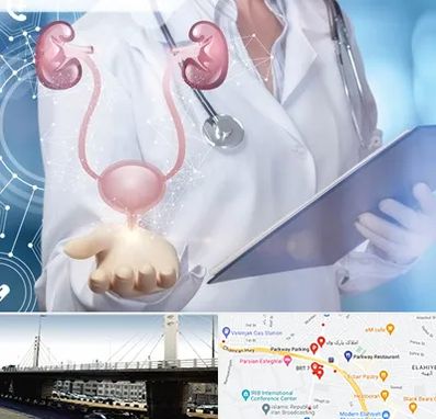 متخصص اورولوژی خانم در پارک وی 