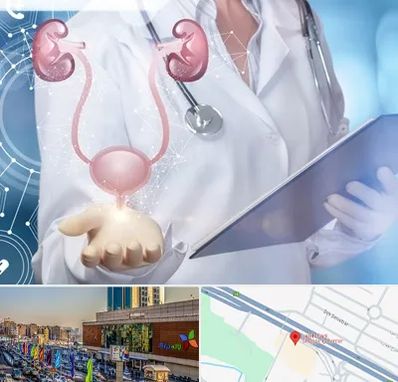 متخصص اورولوژی خانم در لاله پارک تبریز