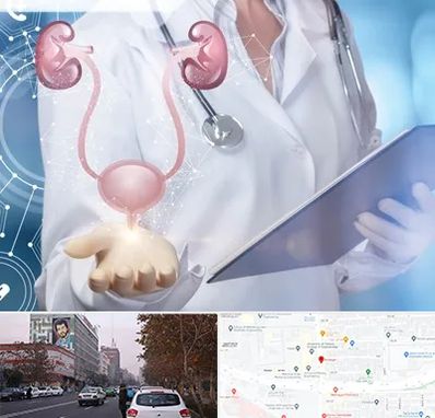متخصص اورولوژی خانم در کارگر شمالی 