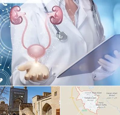 متخصص اورولوژی خانم در تربت جام