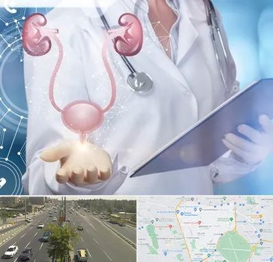 متخصص اورولوژی خانم در منطقه 17 تهران 