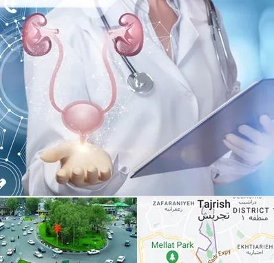 متخصص اورولوژی خانم در تجریش 