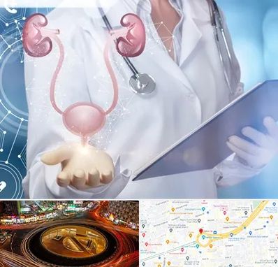 متخصص اورولوژی خانم در میدان ولیعصر 