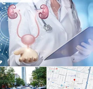 متخصص اورولوژی خانم در امامت مشهد 