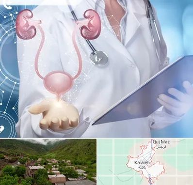 متخصص اورولوژی خانم در کلاله