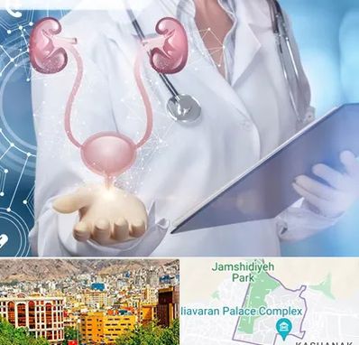 متخصص اورولوژی خانم در نیاوران 