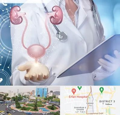 متخصص اورولوژی خانم در ونک 