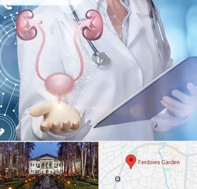 متخصص اورولوژی خانم در باغ فردوس