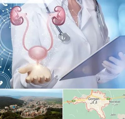 متخصص اورولوژی خانم در گرگان
