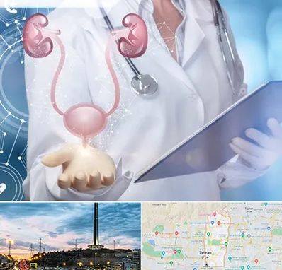 متخصص اورولوژی خانم در منطقه 2 تهران 