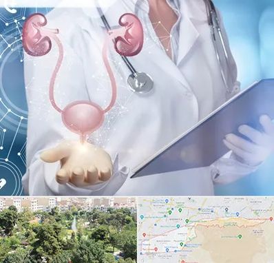 متخصص اورولوژی خانم در منطقه 13 تهران 