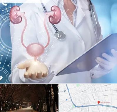 متخصص اورولوژی خانم در ابوریحان تبریز