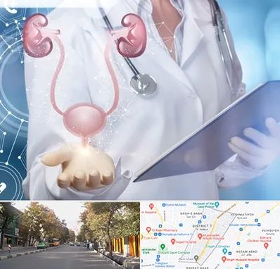 متخصص اورولوژی خانم در شریعتی 