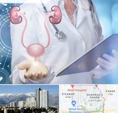 متخصص اورولوژی خانم در شهرک غرب 