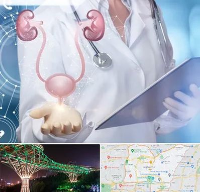 متخصص اورولوژی خانم در منطقه 3 تهران 