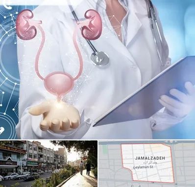 متخصص اورولوژی خانم در خیابان جمالزاده