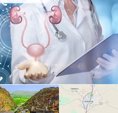 متخصص اورولوژی خانم در کامیاران