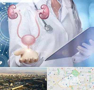 متخصص اورولوژی خانم در منطقه 19 تهران 