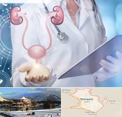 متخصص اورولوژی خانم در ملایر