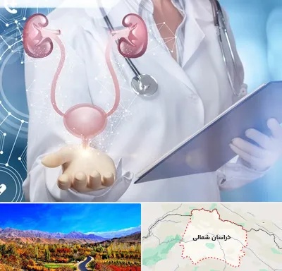 متخصص اورولوژی خانم در خراسان شمالی