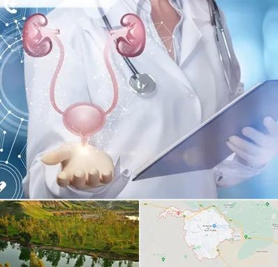 متخصص اورولوژی خانم در بهبهان