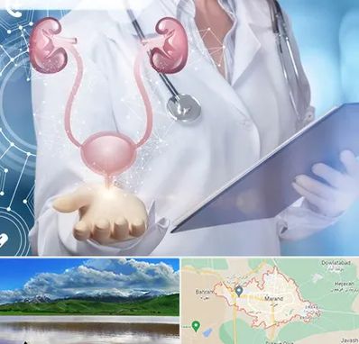 متخصص اورولوژی خانم در مرند