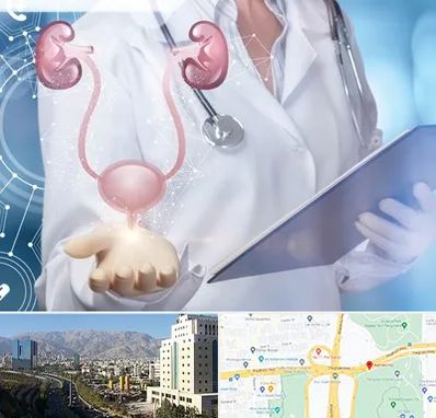 متخصص اورولوژی خانم در حقانی 