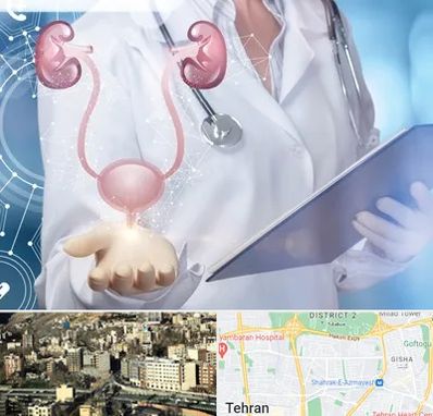 متخصص اورولوژی خانم در مرزداران 