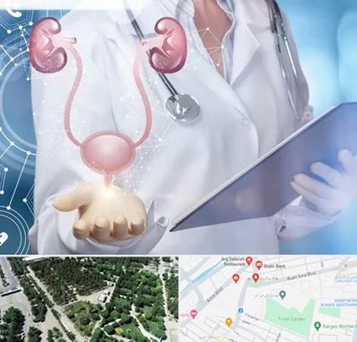 متخصص اورولوژی خانم در سالاریه قم