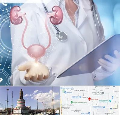 متخصص اورولوژی خانم در کارگر جنوبی 