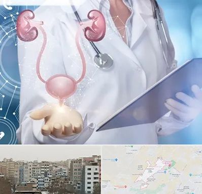 متخصص اورولوژی خانم در محمد شهر کرج 