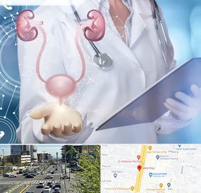 متخصص اورولوژی خانم در ستاری 