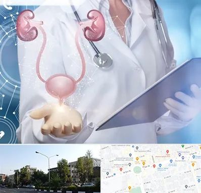 متخصص اورولوژی خانم در میدان کاج 