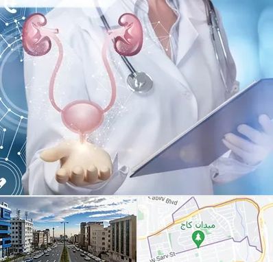 متخصص اورولوژی خانم در سعادت آباد 