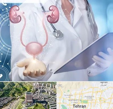 متخصص اورولوژی خانم در شمال تهران 