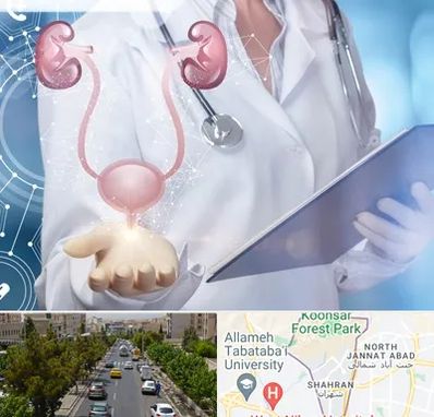 متخصص اورولوژی خانم در شهران 