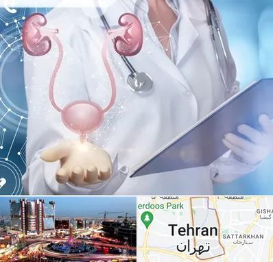 متخصص اورولوژی خانم در صادقیه 