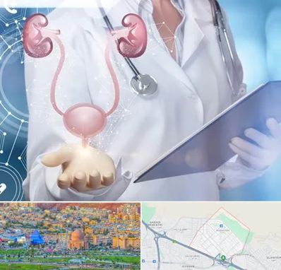 متخصص اورولوژی خانم در رشدیه تبریز