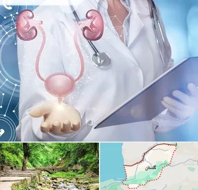 متخصص اورولوژی خانم در گلستان