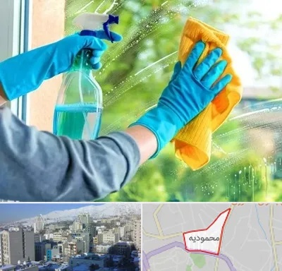 نظافتچی خانم در محمودیه