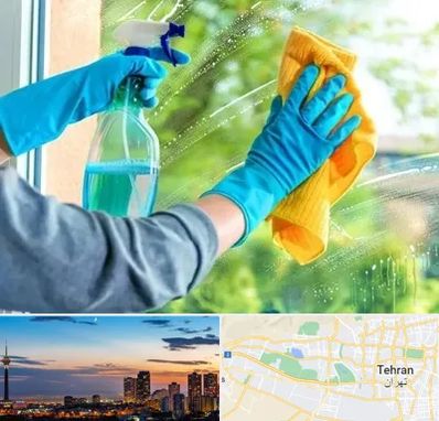نظافتچی خانم در غرب تهران 