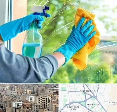نظافتچی خانم در جنوب شرق تهران