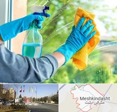 نظافتچی خانم در مشکین دشت