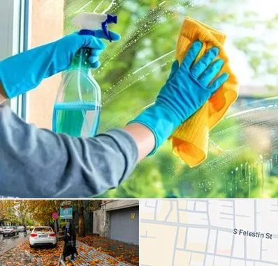 نظافتچی خانم در خیابان فلسطین