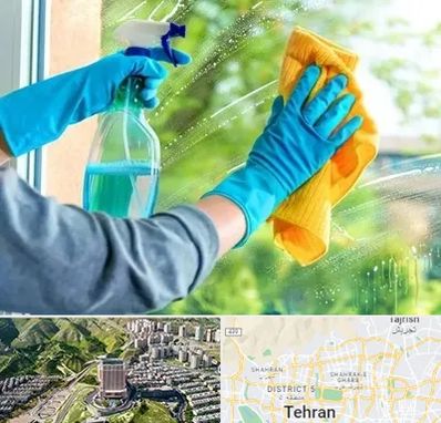 نظافتچی خانم در شمال تهران 