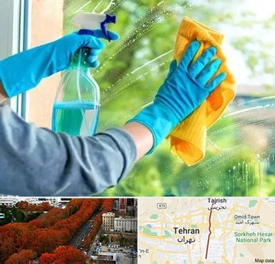 نظافتچی خانم در ولیعصر 