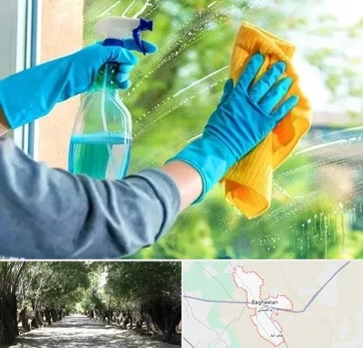 نظافتچی خانم در باغستان